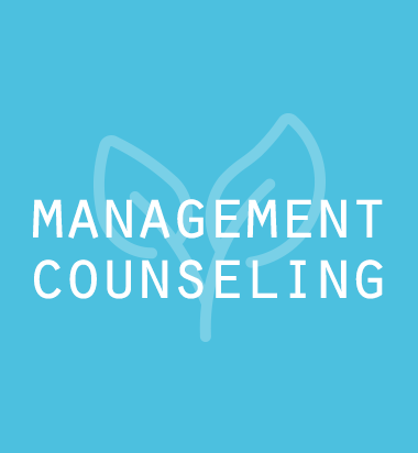 Management Counseling